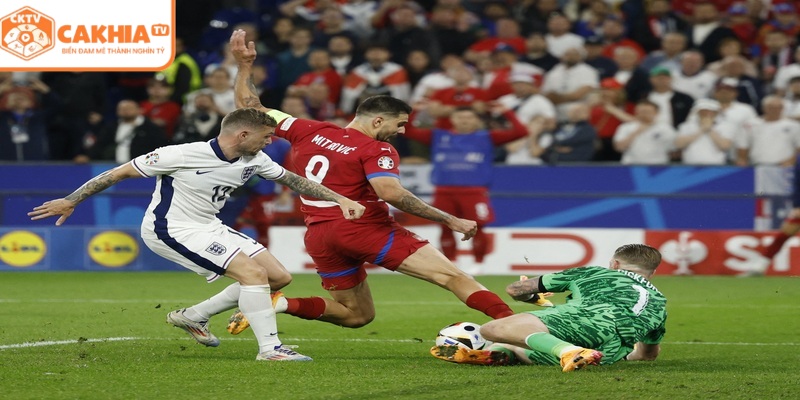 Aleksandar trong màu áo Newcastle và Fulham tại Premier League